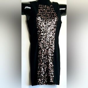 Elegant Black and Silver Sequin Mini Dress